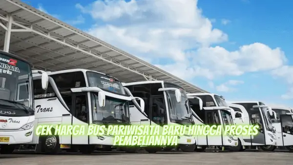 Cek Harga Bus Pariwisata Baru Hingga Proses Pembeliannya 