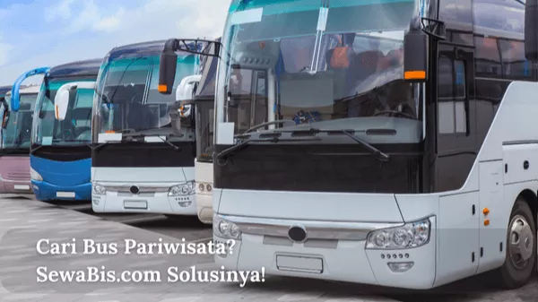 Cari Bus Pariwisata SewaBis.com Solusinya!