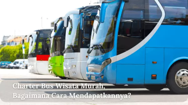 Charter Bus Wisata Murah, Bagaimana Cara Mendapatkannya?