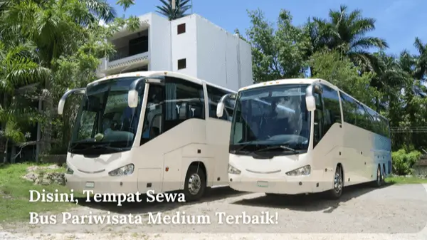 Disini, Tempat Sewa Bus Pariwisata Medium Terbaik!