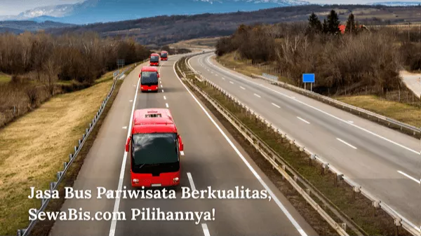 Jasa Bus Pariwisata Berkualitas, SewaBis.com Pilihannya!