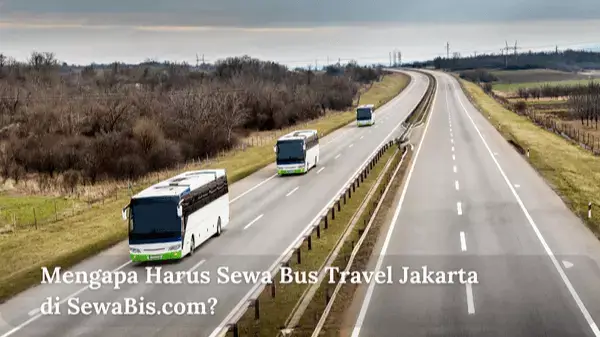 Mengapa Harus Sewa Bus Travel Jakarta di SewaBis.com?