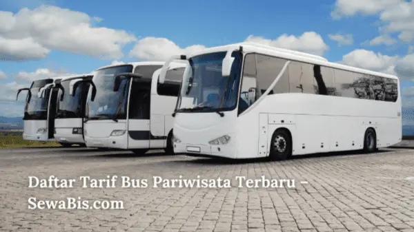 Daftar Tarif Bus Pariwisata Terbaru – SewaBis.com