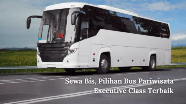 Sewa Bis, Pilihan Bus Pariwisata Executive Class Terbaik